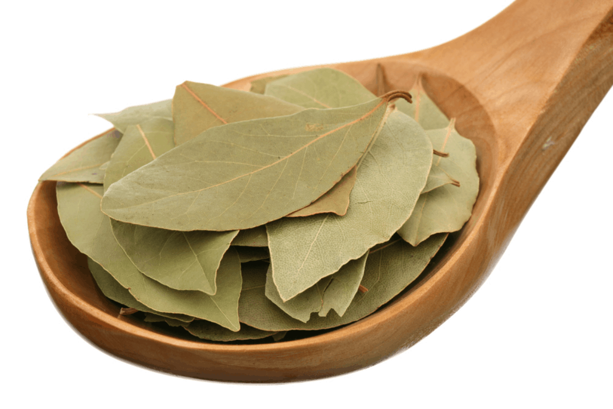 You are currently viewing Bay Leaf For Diabetes: How Can it Benefit You?